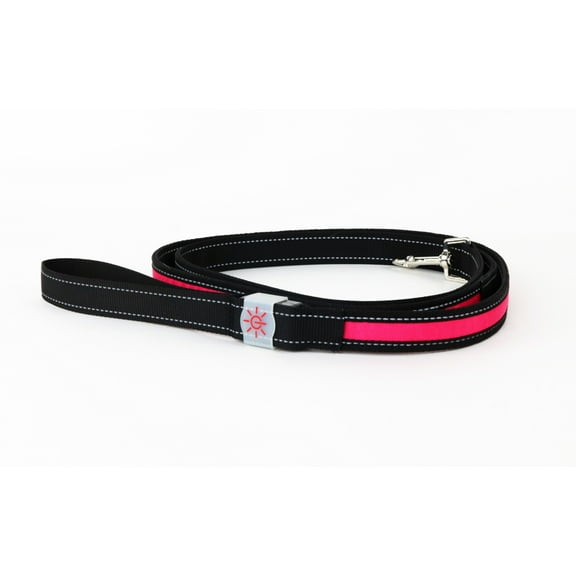 Pink Light Up Night Scout Dog Leash