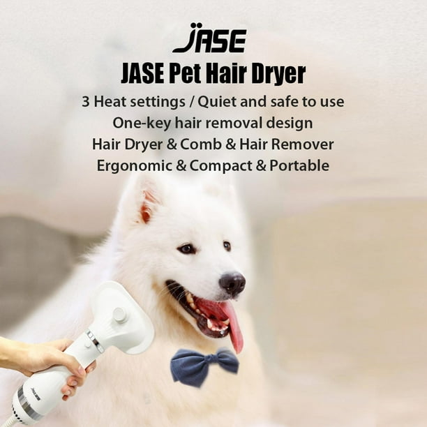 Quiet hair dryer for pets online