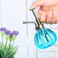 thumbnail image 5 of 4 Pcs Plant Mister Vintage Style Decorative Water Spray Bottle with Top Pump, 5 of 5
