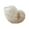 Decmode Coastal 16 X 20 Inch White Polystone Spiral Seashell Decor