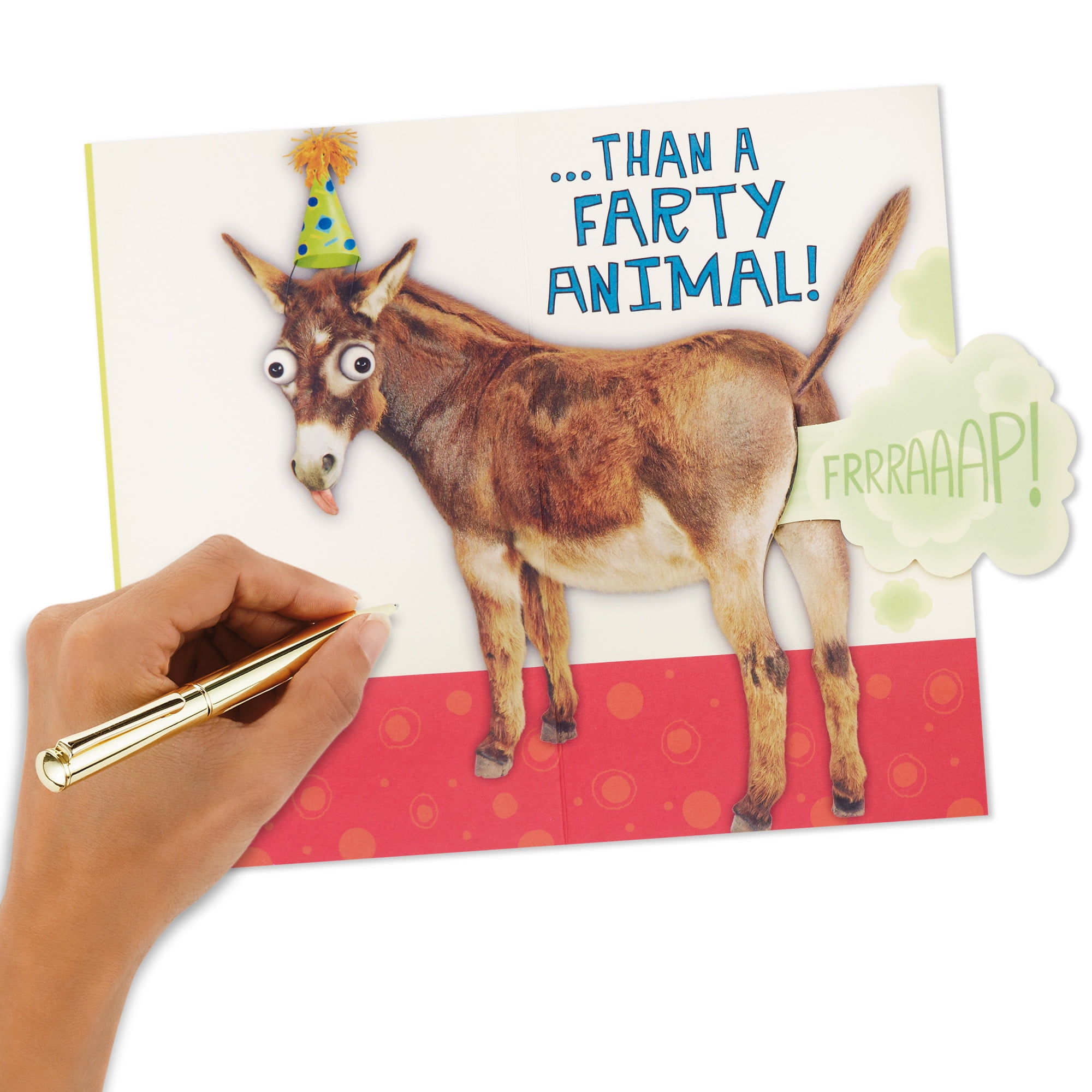 Hallmark Funny Birthday Card (Farting Donkey)