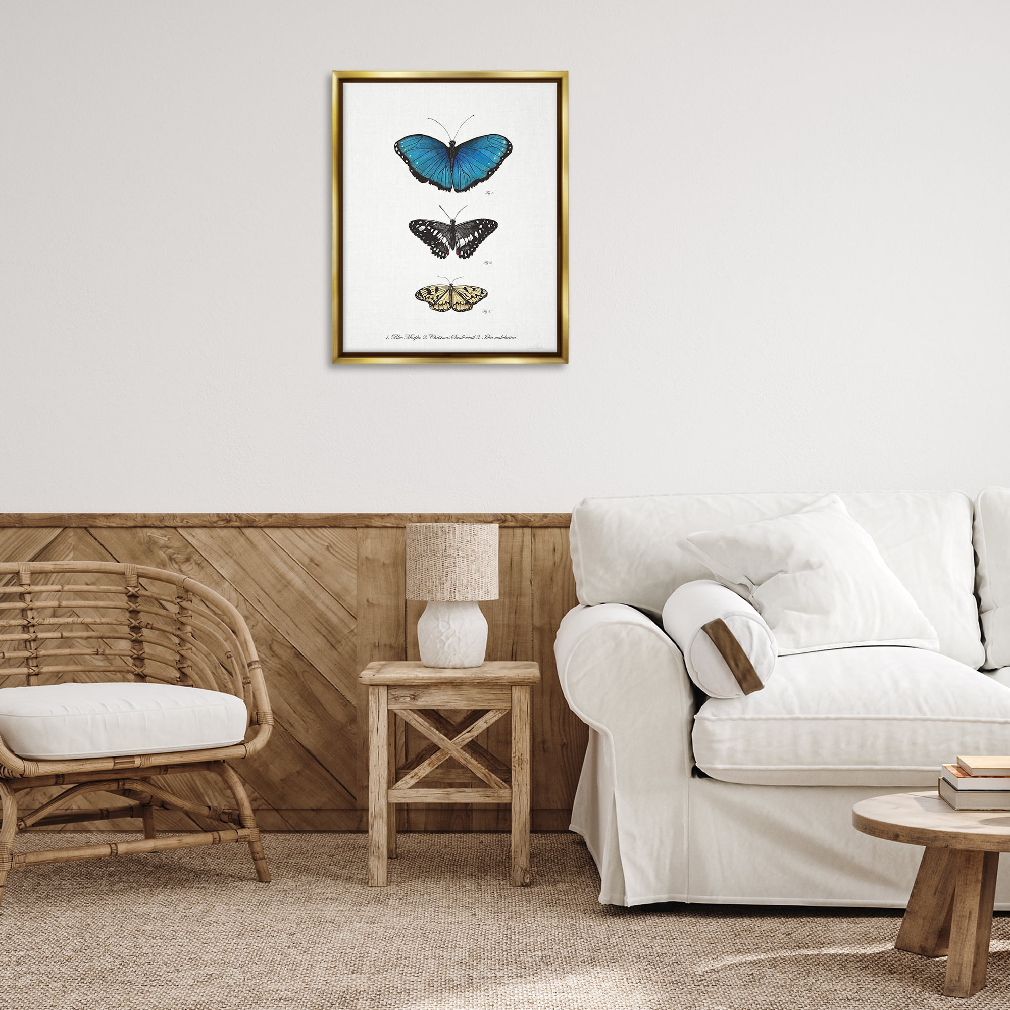 Stupell Industries Vintage Butterfly Specimens Animals & Insects Painting Gold Floater Framed Canvas Art Print Wall Art, 25 x 31