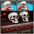thumbnail image 3 of 8 Pcs Maniquine Miniature Skull Heads Halloween Skeleton Head Human Skull Head Model Mini Skull Model Skull Ornaments, 3 of 3