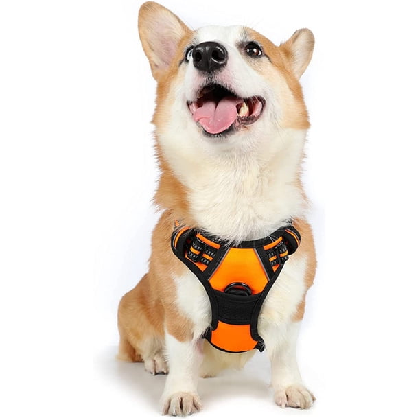 Rabbitgoo Arnés para Perros, Arnés para Mascotas sin Tirones con 2 Clips para Correa, Chaleco para Perros Acolchado Suave y Ajustable, Chaleco Oxford Reflectante para Mascotas sin asfixia con asa de f