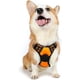 thumbnail image 1 of Rabbitgoo Arnés para Perros, Arnés para Mascotas sin Tirones con 2 Clips para Correa, Chaleco para Perros Acolchado Suave y Ajustable, Chaleco Oxford Reflectante para Mascotas sin asfixia con asa de f, 1 of 4