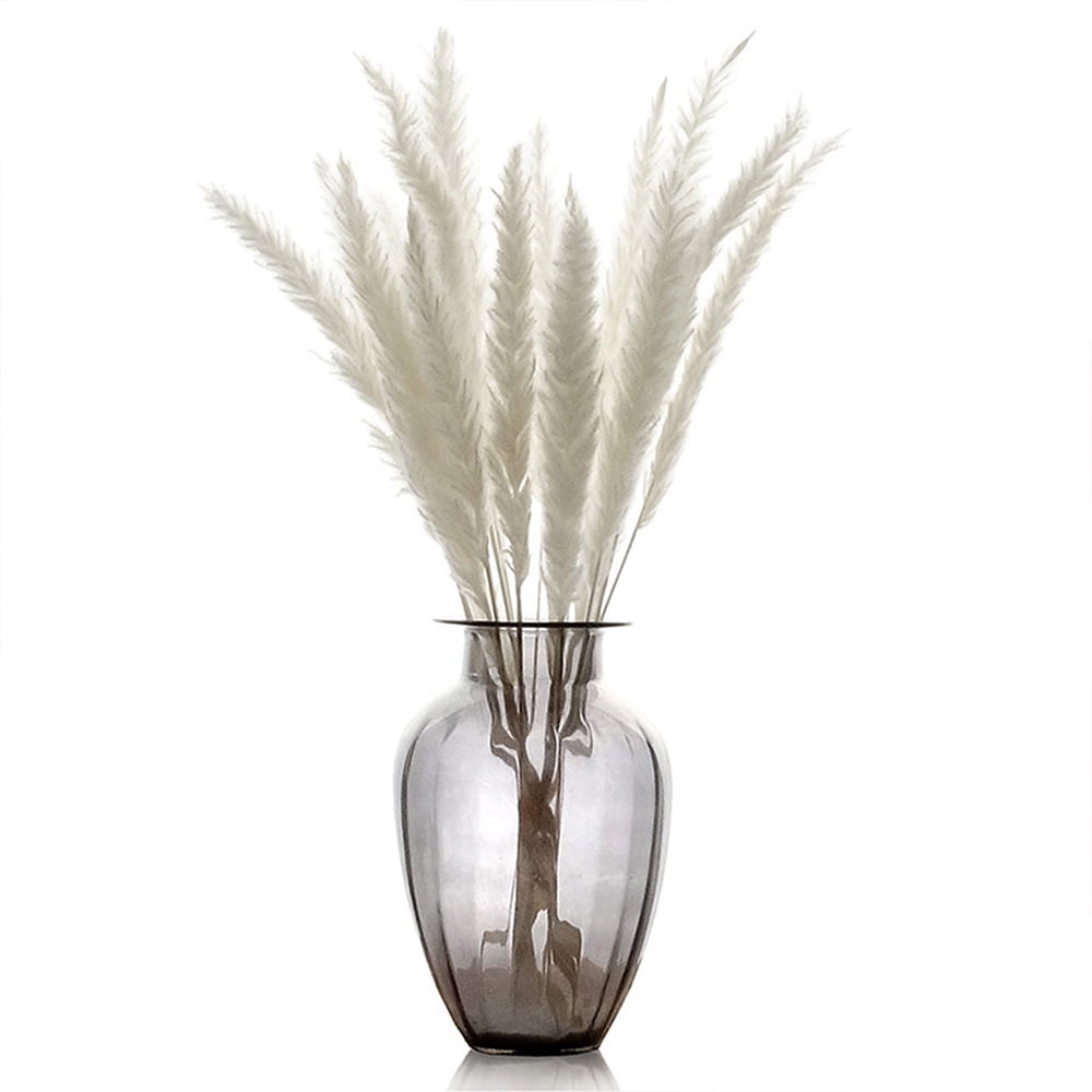 MIHUAGE Dried Pampas Grass Reed Flower Decor Plumes 30Pcs 17Inch 100% Natural 