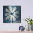 thumbnail image 4 of Luxe Metal Art 'Daisy for Belinda Blue' by Studio Mousseau, Metal Wall Art, 12"x12", 4 of 7