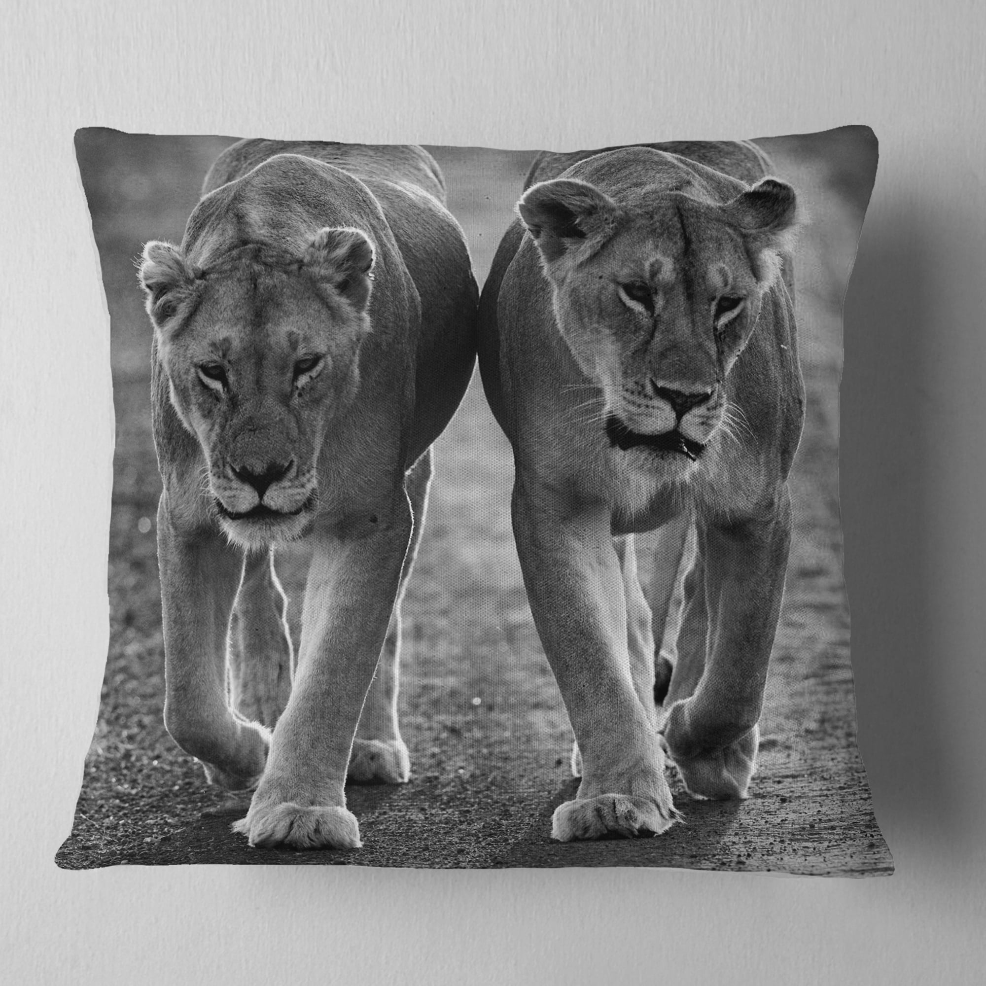 Designart Lions in Black and White - Animal Photo Throw Pillow - 16x16
