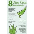 thumbnail image 5 of One Gallon Organic Aloe Vera Live Plant  20+ inches tall, 5 of 6