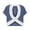Navy, variant on Women's Tees Color Block Crew Neck Short Sleeve Yoga Tshirts Loose Fit Open Back Crisscross Cutout Tops