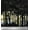 Black, variant on Soimoi Velvet Fabric Tree Nature Decor Fabric Printed Yard 58 Inch Wide