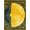 Gold, variant on ODIKA 4'x6' Machine Washable Non-Slip Area Rug, Art Inspired Grid Accent for High Traffic Rug, Gold, 126960
