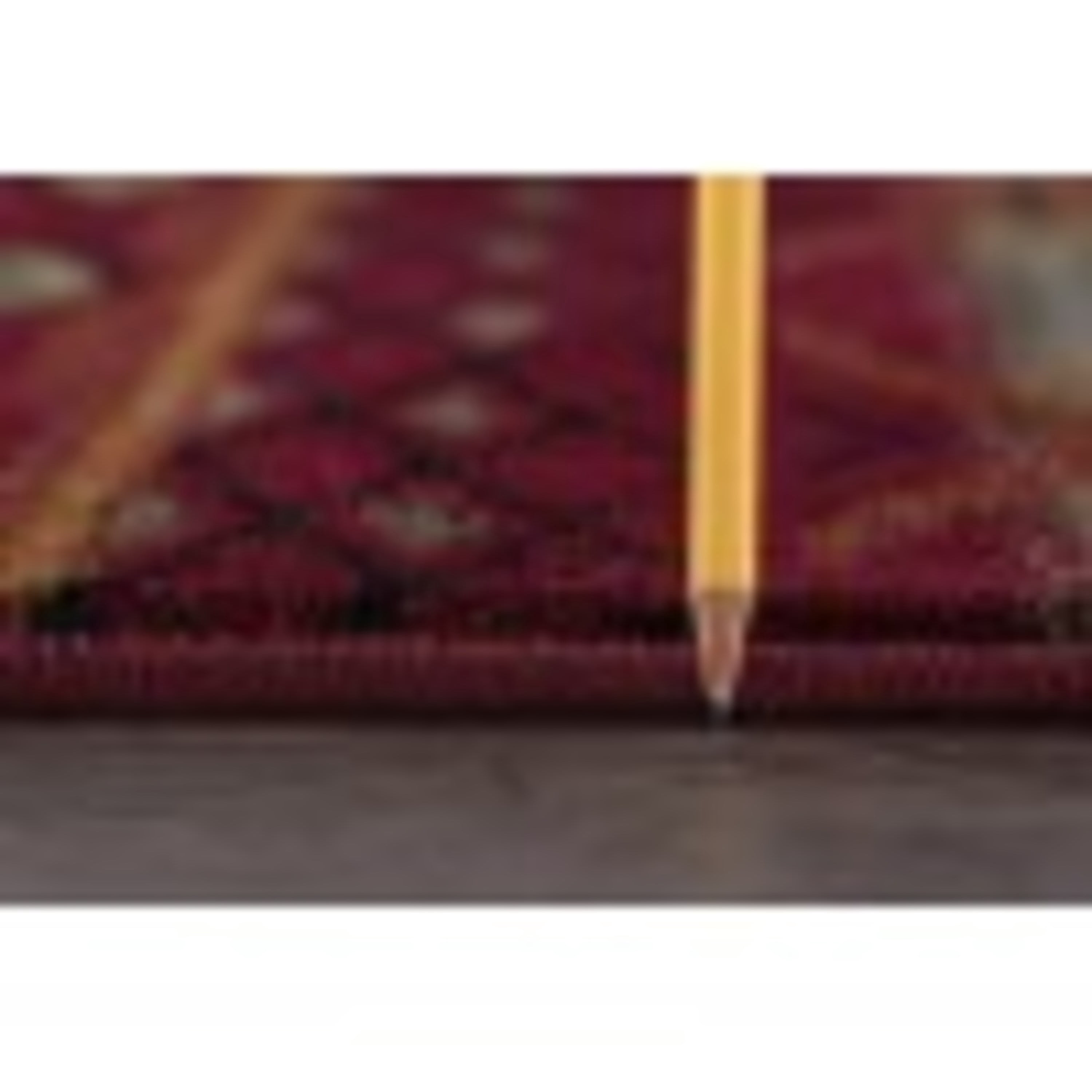 Nature Novelty 9' x 12' Red and Beige Polypropylene Indoor Area Rug