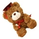 thumbnail image 4 of Oso de peluche de graduación, oso de peluche encantador, oso de graduación, regalo, 4 of 5