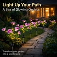 thumbnail image 4 of Rirool Solar Orchid Flower Garden Stake Lights, 7 Heads Warm White Solar Lights Outdoor Waterproof, Decorative Lights for Yard Lawn Patio Pathway, Purple 2 Pack, 4 of 8