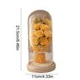 thumbnail image 3 of BingTong Preserved Rose Bouquet in Glass Dome,Preserved Flowers Gifts for Her,Forever Flowers Fresh Bouquet Present For Women Mothers Day Birthday Gifts For Mom Wife Yellow, 3 of 6
