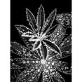 thumbnail image 2 of Crystal I Poster Print by Incado, 2 of 2