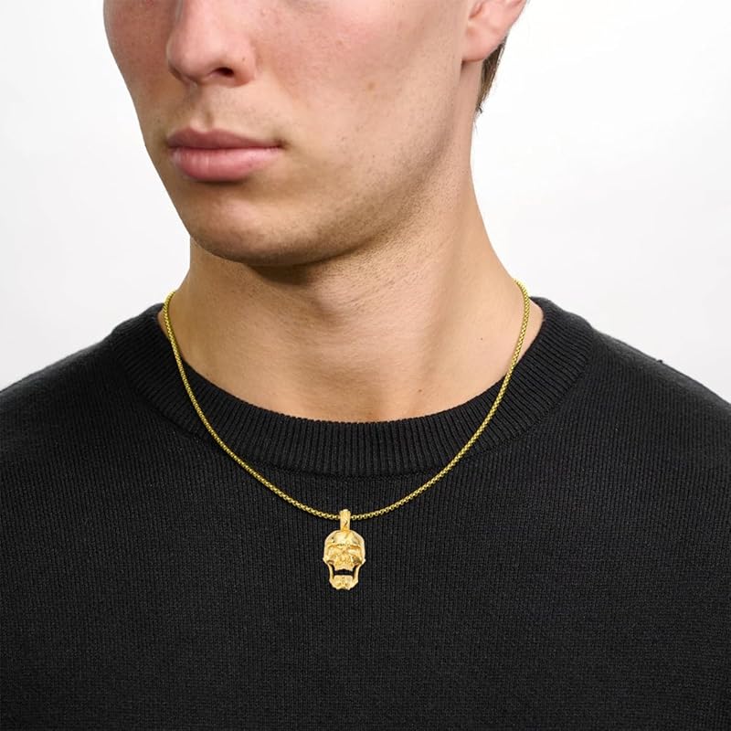 DVEATR Skull Head Necklace 925 Sterling Silver/18K Gold Plated/Black Gothic Skull Jewelry for Men, with Stainless Steel Chain 22+2 Inch