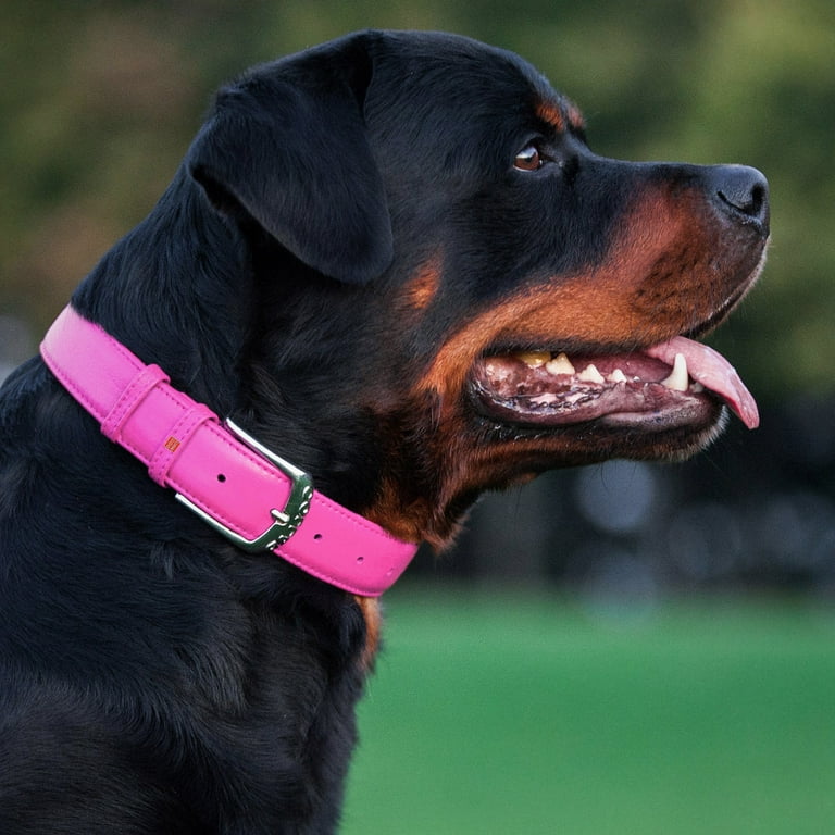 Dog Collar Genuine Leather Pet Collars For Small Medium