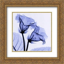 Gloxinia 2x Matted 14x16 Gold Ornate Framed Art Print by Steven N. Meyers