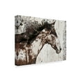 thumbnail image 2 of Trademark Fine Art 'Galaxy Horse I' Canvas Art by Irena Orlov, 2 of 4