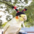 thumbnail image 2 of AAOMASSR 1pc Pet Parrot‘s Decorative Braided Hat For Taking Photos, 2 of 7