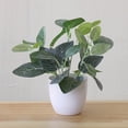 thumbnail image 3 of SPRING PARK Fresh Artificial Foliage Plant Potted Bonsai for Wedding,Table,Cabinet Decoration, 3 of 7
