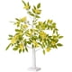 thumbnail image 1 of 1pc Desktop Light Wisteria Flor Tree Shape Night Lamp Lámpara de mesa Lámpara de noche, 1 of 5