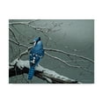 thumbnail image 1 of Trademark Fine Art 'Winter Jay' Canvas Art by Ron Parker, 1 of 3