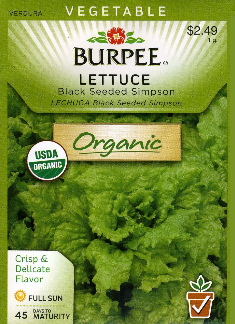 Lettuce Black Seeded Simpson 60295 (Green) 500 Organic Seeds, By Burpee