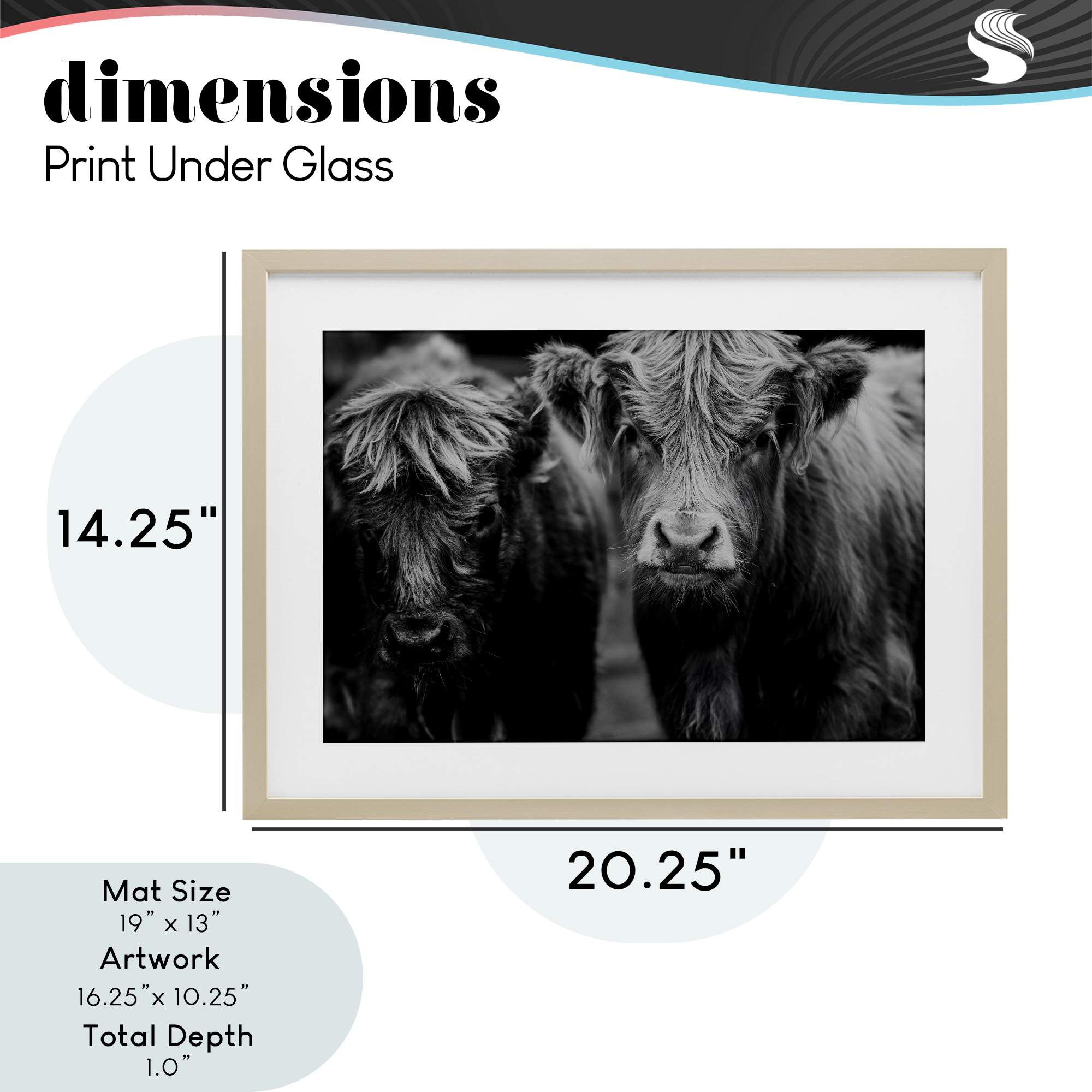 Cow Faces on Farm Birch Framed Print Under Glass, design by Amy Carroll