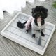 thumbnail image 5 of Bandeja para orinal para perros Salvador con poste vertical limpia y lavable L, 5 of 9