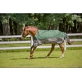 thumbnail image 4 of TuffRider Bonum 1200D Medium Weight Standard Neck Two Tone Turnout Blanket With 200gms of fill Hunter Green/Grey 84, 4 of 4