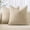Beige, variant on Pack of 2 Decorative Throw Pillow Covers Soft Chenille Textured Cushion Covers Solid Neutral Farmhouse Style for Couch Sofa Bedroom 18x18 Inch Taupe Grey