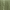 Green Waffle, variant on Better Homes & Gardens 3-Piece Blue Waffle Stripe Comforter Set, Adult Full/Queen
