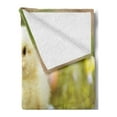 thumbnail image 2 of Chicks Soft Flannel Fleece Throw Blanket, Photo of Little Chickens on Clovers with Blurry Backdrop Easter Eggs, Cozy Plush for Indoor and Outdoor Use, 60" x 80", Pale Yellow Fern Green, by Ambesonne, 2 of 5