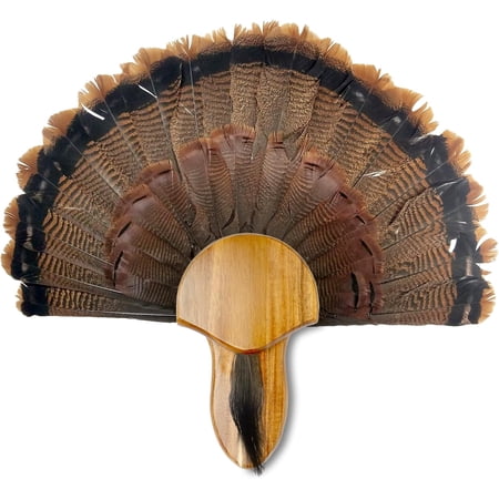 Turkey Fan Mount Kit Turkey Hunting Gear Turkey Mounting Kit for Hanging Turkey Fan Tail Feather Beard Universal Wall Mounted Hunting Trophy Mounts Accessories
