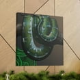 thumbnail image 6 of Green Tree Python Beauty - Canvas, 6 of 10