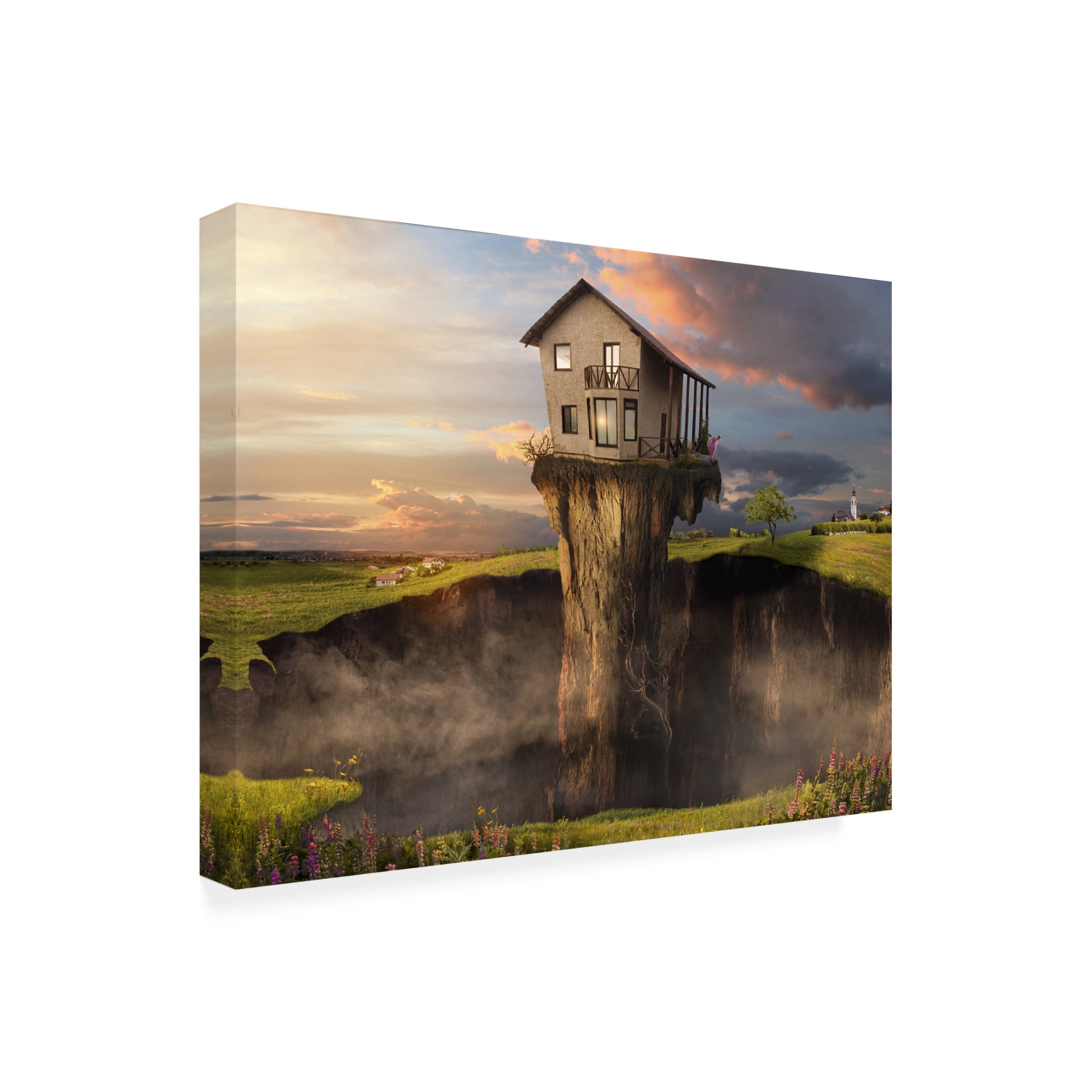 Trademark Fine Art Eva Frey Isolation Canvas Wall Art