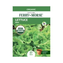 Ferry-Morse Organic 575MG Lettuce Bibb Annual Vegetable Seeds, Full Sun