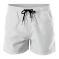 thumbnail image 1 of Traje De Baño De Pantalones Cortos Playa Casual Para Hombre, 1 of 6
