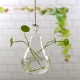 thumbnail image 1 of One opening Hanging Glass Flowers Plant Vase Bottle Terrarium Container Home Garden Decors DIY, 1 of 4