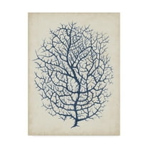 Trademark Fine Art 'Indigo Coral I' Canvas Art by Vision Studio