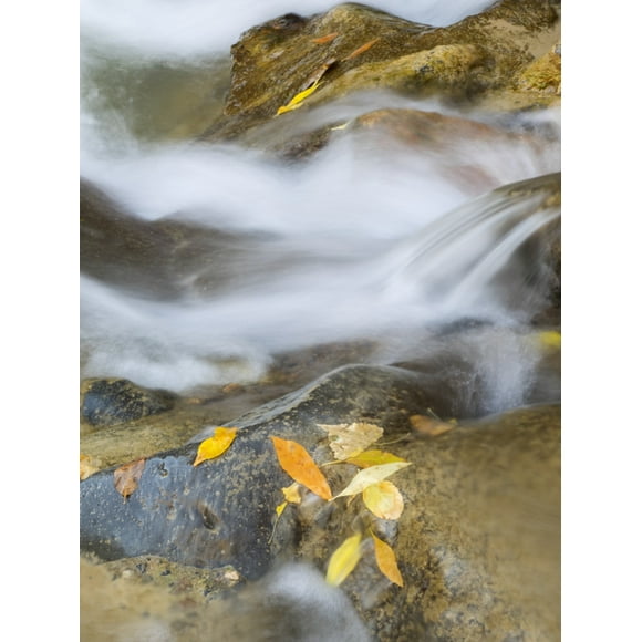 Utah, Zion National Park, Virgin River Poster Print by Jamie & Judy Wild (24 x 36)