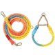 thumbnail image 3 of Collares de perro de color degradado, accesorios, correas, cuerda de metal, cadena-l Afortunado Sencillez, 3 of 4