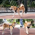 thumbnail image 4 of Harnais pour Chien Réfléchissant Ajustable en Maille Gilet Léger pour Petits Moyens Grands Chiens, 4 of 8