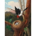 thumbnail image 2 of Michelangelo Meucci 19x24 Gold Ornate Framed and Double Matted Museum Art Print Titled - Bird with His Nest, 2 of 4