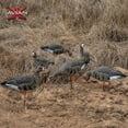thumbnail image 6 of Avian X AVF Specklebelly Fusion Pack with Custom Fitted Bag for Hunting Use, 6 of 12