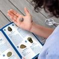 thumbnail image 6 of Educational Insights GeoSafari Fossil Excavation Kit, Children's Science Kit, Elementary School Science, Dinosaur Toy, Ages 7+, 6 of 6