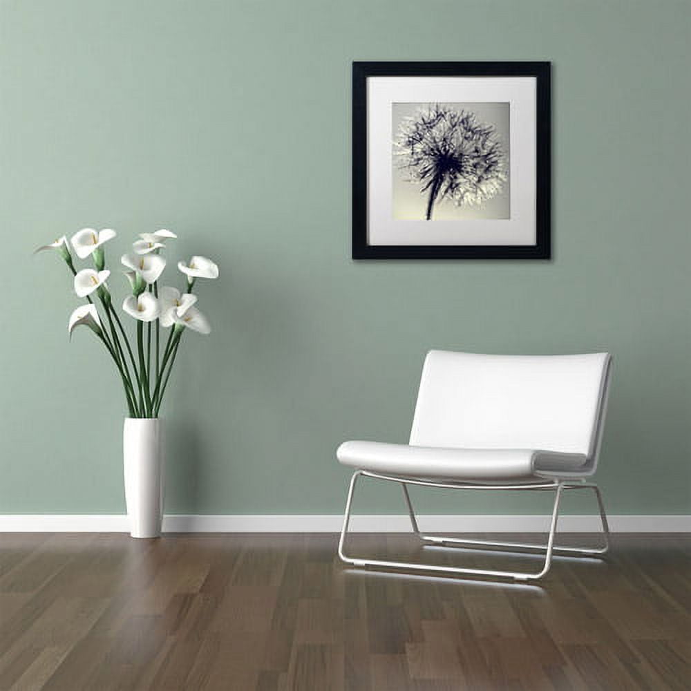 Trademark Fine Art "Morning Sparkles" Canvas Art by Beata Czyzowska Young, White Matte, Black Frame